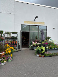 Blumen und Ambiente Natürlich