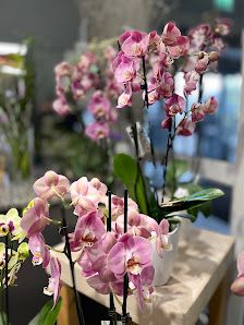 Floribunda GmbH