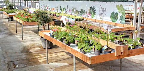 Blumenhaus Gaber