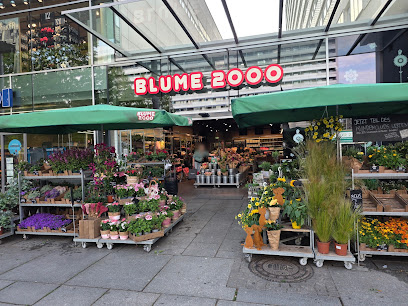 Blume 2000
