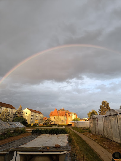 Gärtner in Zittau