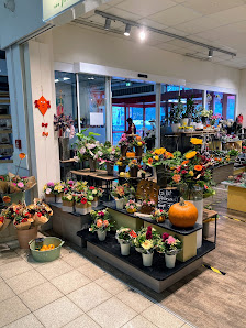 florizz Blumen