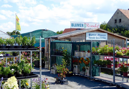Rosenhof an der Obstscheune