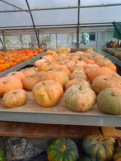 Gartenbauer