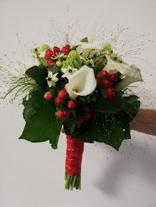Blumengeschäft Gänseblümchen