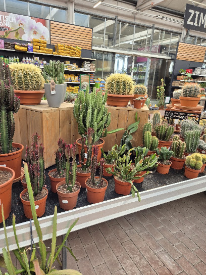 Gartencenter