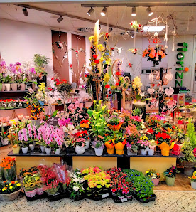florizz- Blumen