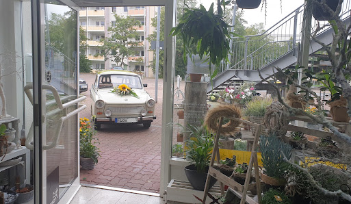 Der Blumenladen - Conny Morgenstern
