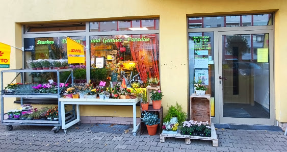 Gartenbau Starke Blumenparadies Mittweida