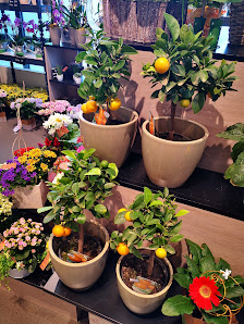 florizz - Blumen