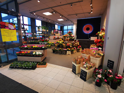 florizz - Blumen