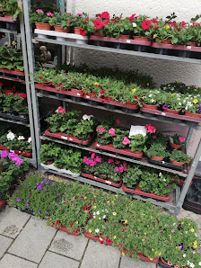 Blumengeschäft Hoan