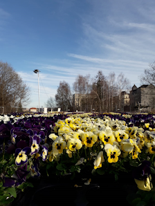 BluBäu Gärtnerei Döbeln