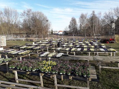 Blumenmarkt in Döbeln