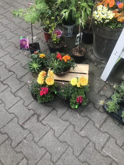 Blumengeschäft