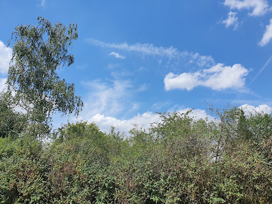 Gartenbau Jope