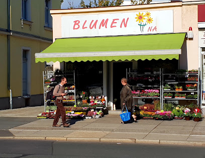 Blumen N&A