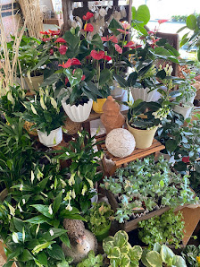 Sandra`s Blumenstübchen