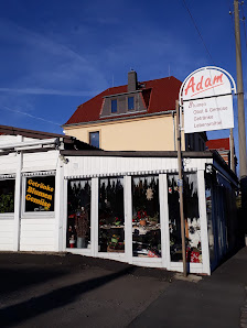 Blumen Adam