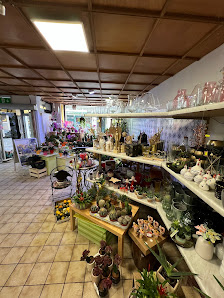 Blumenhaus Emil Uecker Inhaber Heike Uecker