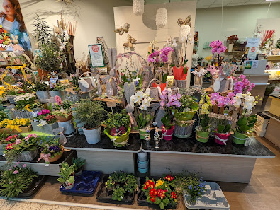 florizz Blumen