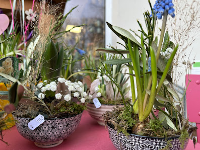 Topf & Blüte