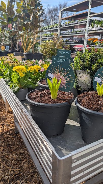 Blumenmarkt in Dippoldiswalde