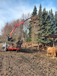 Landschaftspflege Daniel