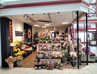 florizz- Blumen