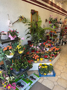 Blumenladen Blumen Strietzel