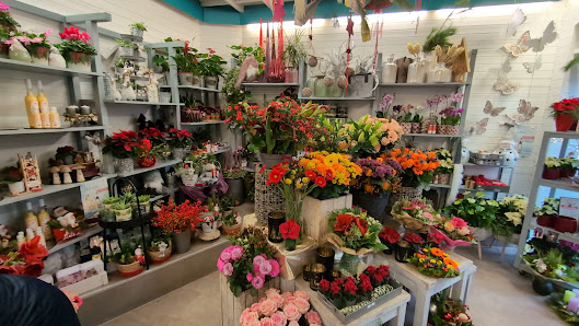 Blumen Birkner