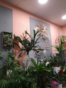 Blumen & Geschenkewelt Meißgeier