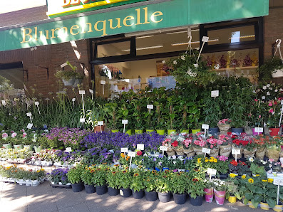 Blumenquelle