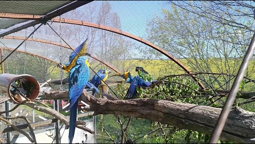 Hennigs Biogärtnerei & Glasatelier
