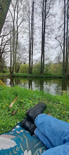 Garten- und Landschaftsbau VIRIDIS