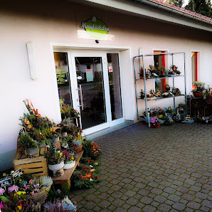 Blumenladen Maiglöckchen