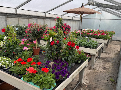 Blumen Basler, C. Weiß Gärtnerei Grabpflege