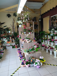 Blumenhaus Sagawe Inh. Sagawe Adrian
