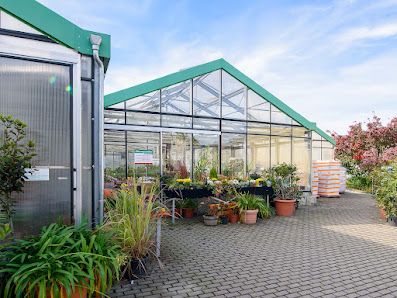 DON BOSCO SACHSEN - Gärtnerei Hartmannsdorf