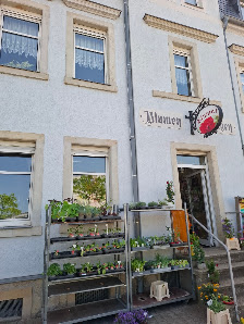 Blumenreigen Dresden Loose & Niering GbR