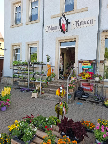 Blumenreigen Dresden Loose & Niering GbR