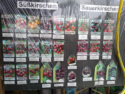 Großschirma