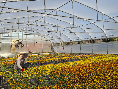 Gartenbau Schmidt