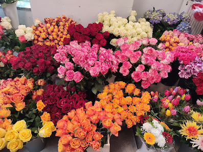 Blumeninsel Gittersee