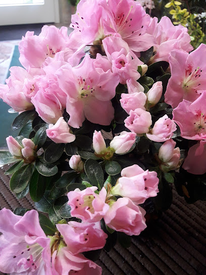 Blumengeschäft
