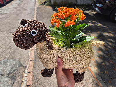 Blumen Feldhaus