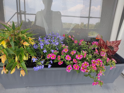 Sindy's Blumenpavillon