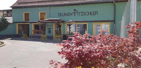 Blumen Pitzschler - Inh. Sandra Fandrich