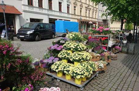BLUME2000 Bernburg
