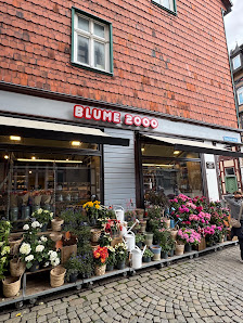 BLUME2000 Wernigerode